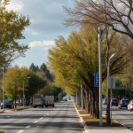 Abunasra nazeeh Vestal parkway ,ny